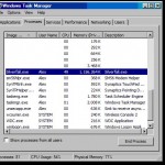 Silverfall mananca memorie